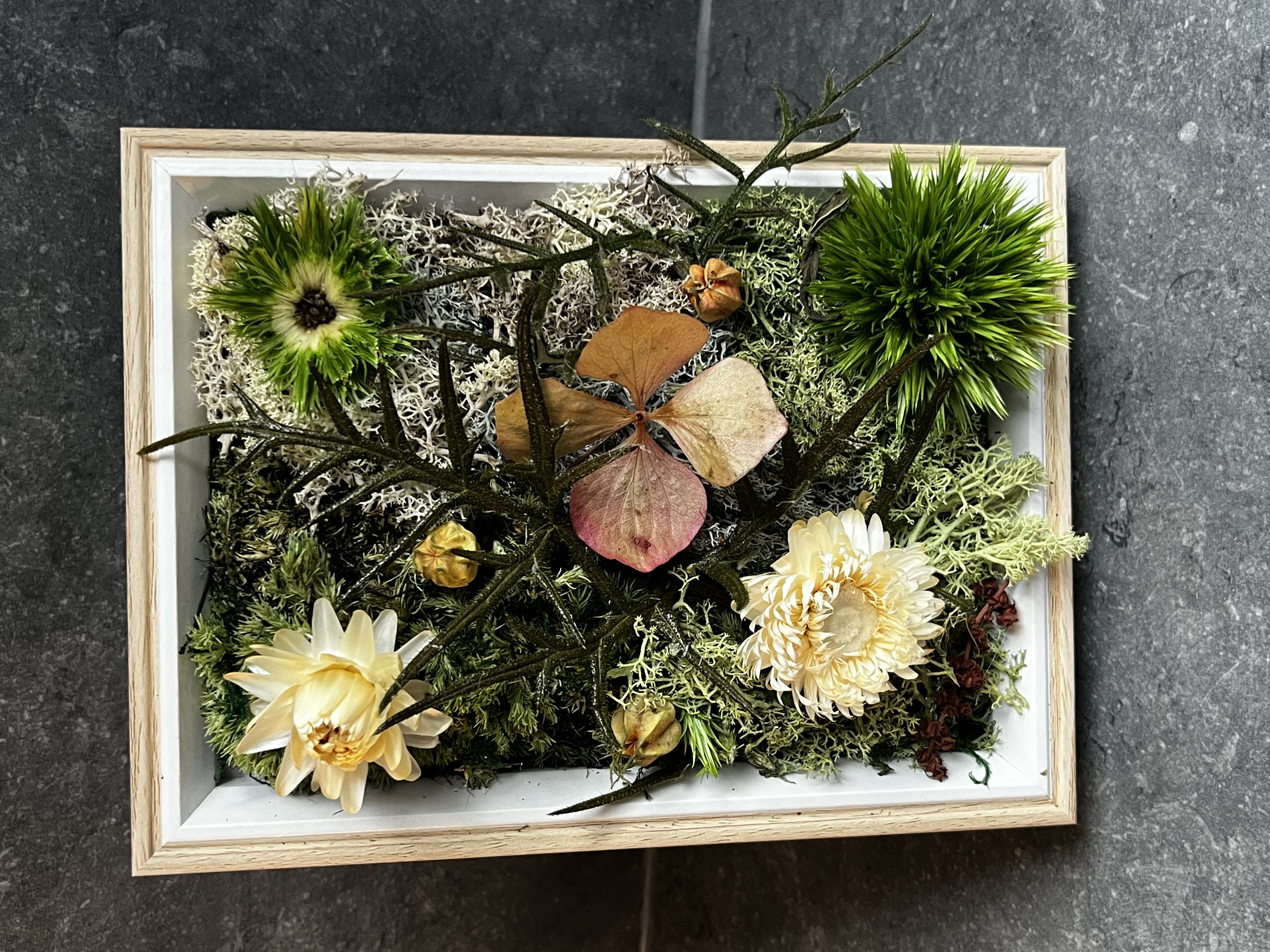 Cadre végétaux de fleurs sechés
