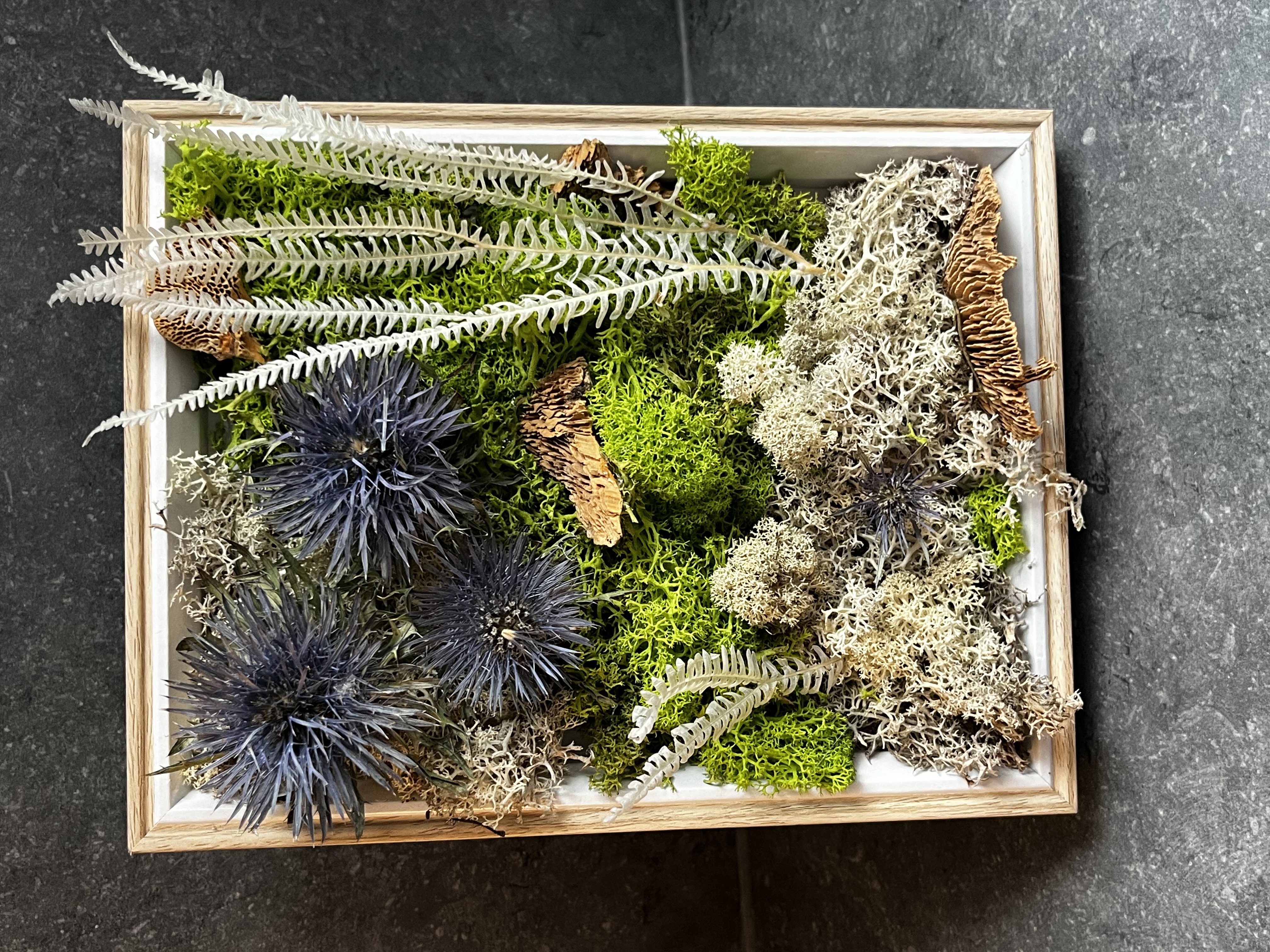 Cadre végétaux de fleurs sechés