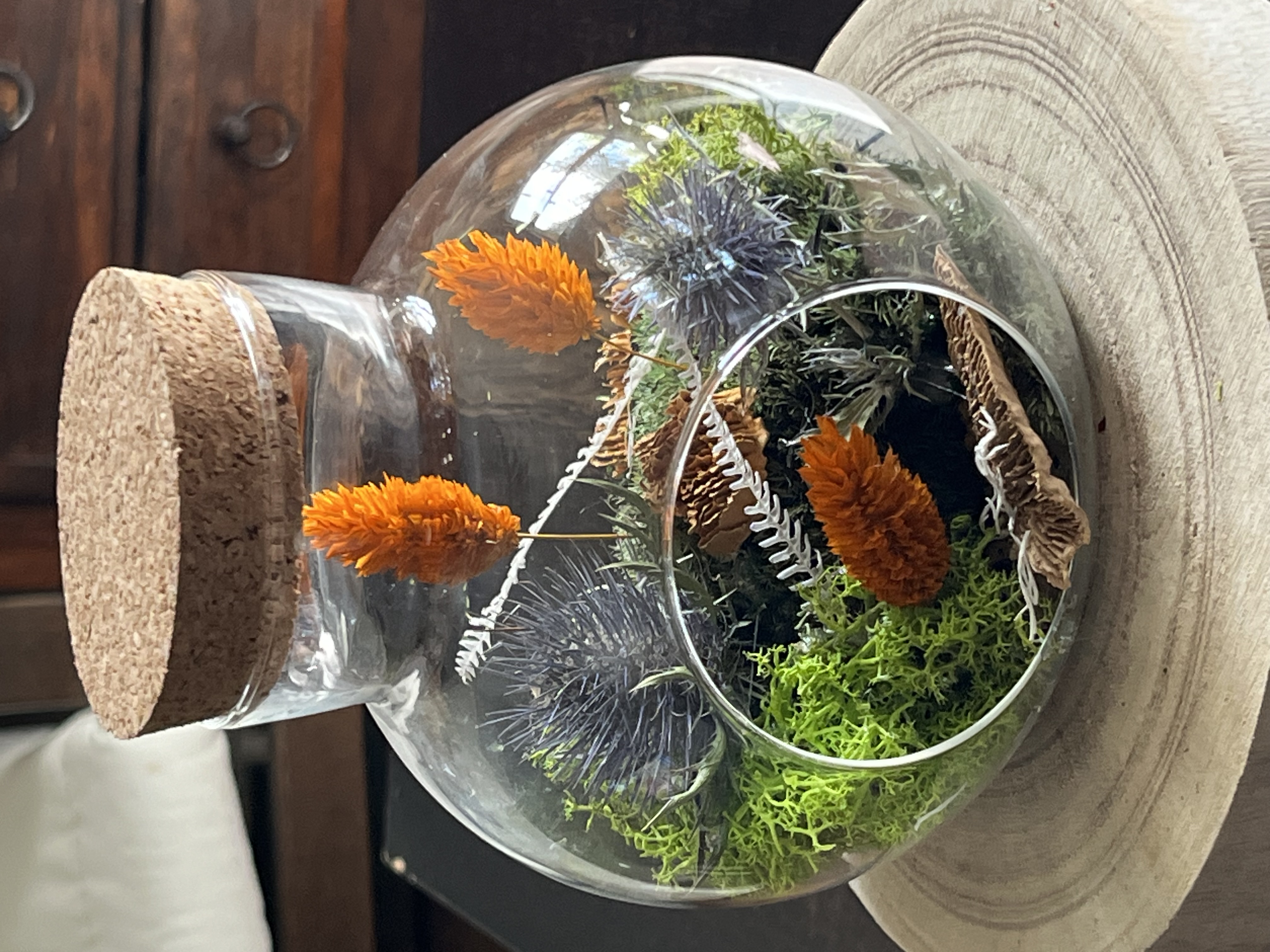 Cadre végétaux de fleurs sechés